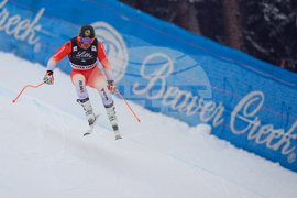 United States World Cup Downhill Skiing