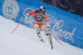 United States World Cup Downhill Skiing