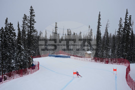 United States World Cup Downhill Skiing
