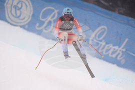 United States World Cup Downhill Skiing