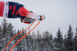 United States World Cup Downhill Skiing