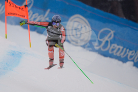 United States World Cup Downhill Skiing