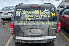 Missing Woman Michigan