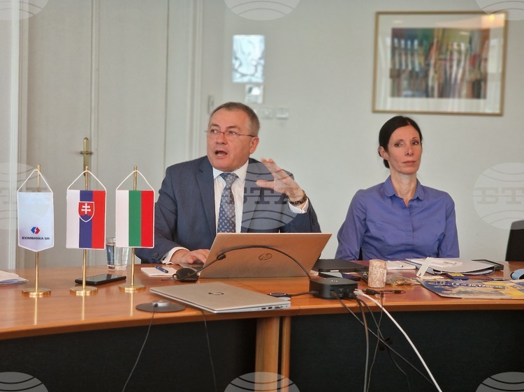 Euro Adoption in Slovakia Opened Door to Reforms - Eximbanka Deputy CEO