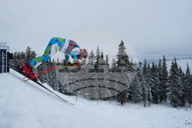 United States World Cup Downhill Skiing