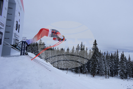 United States World Cup Downhill Skiing