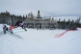 United States World Cup Downhill Skiing