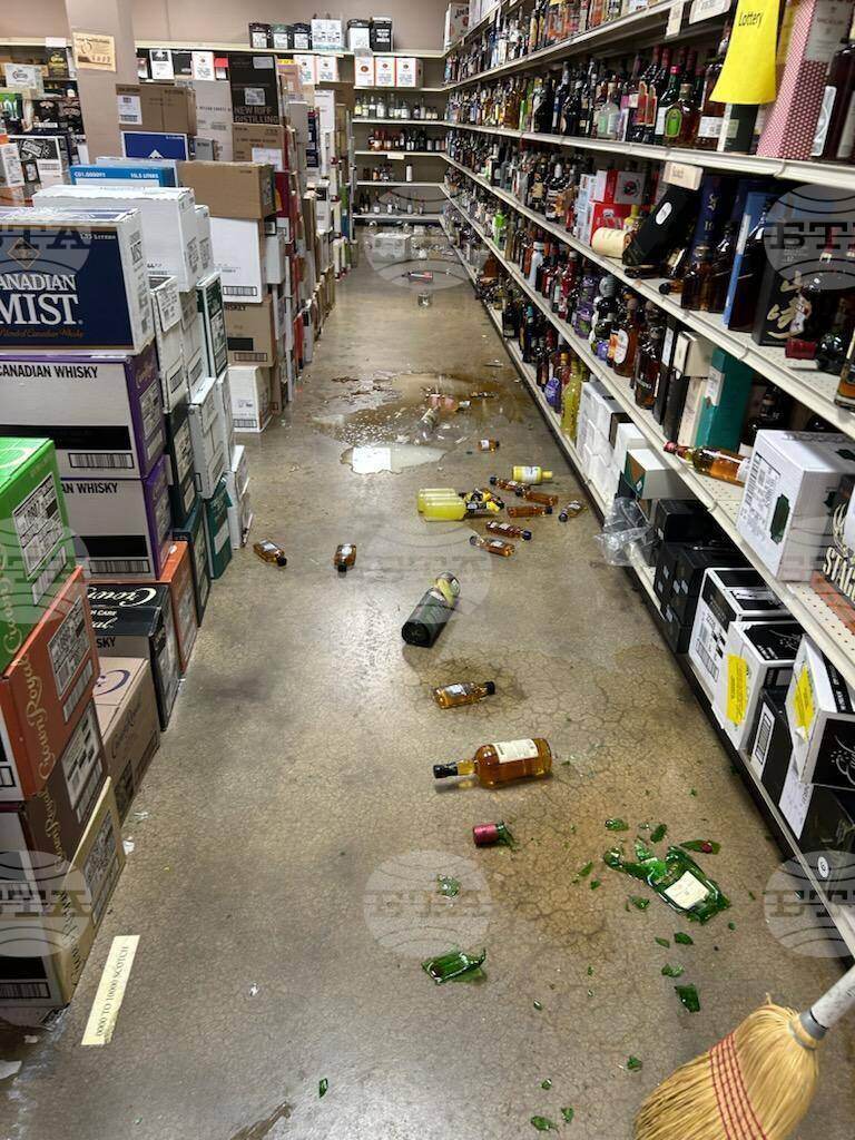 Virginia Drunk Raccoon