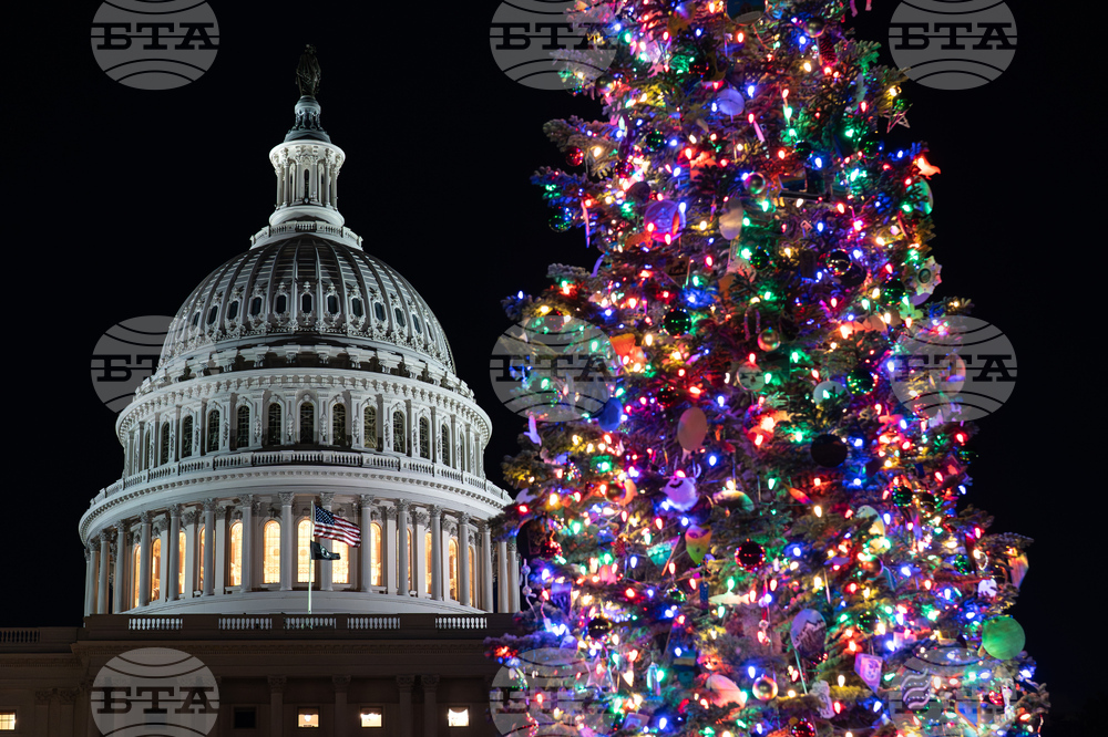 Capitol Christmas Tree