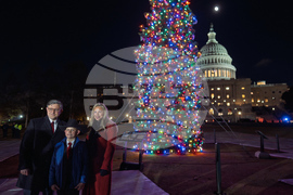 Capitol Christmas Tree
