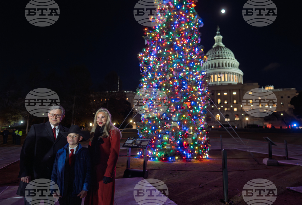 Capitol Christmas Tree