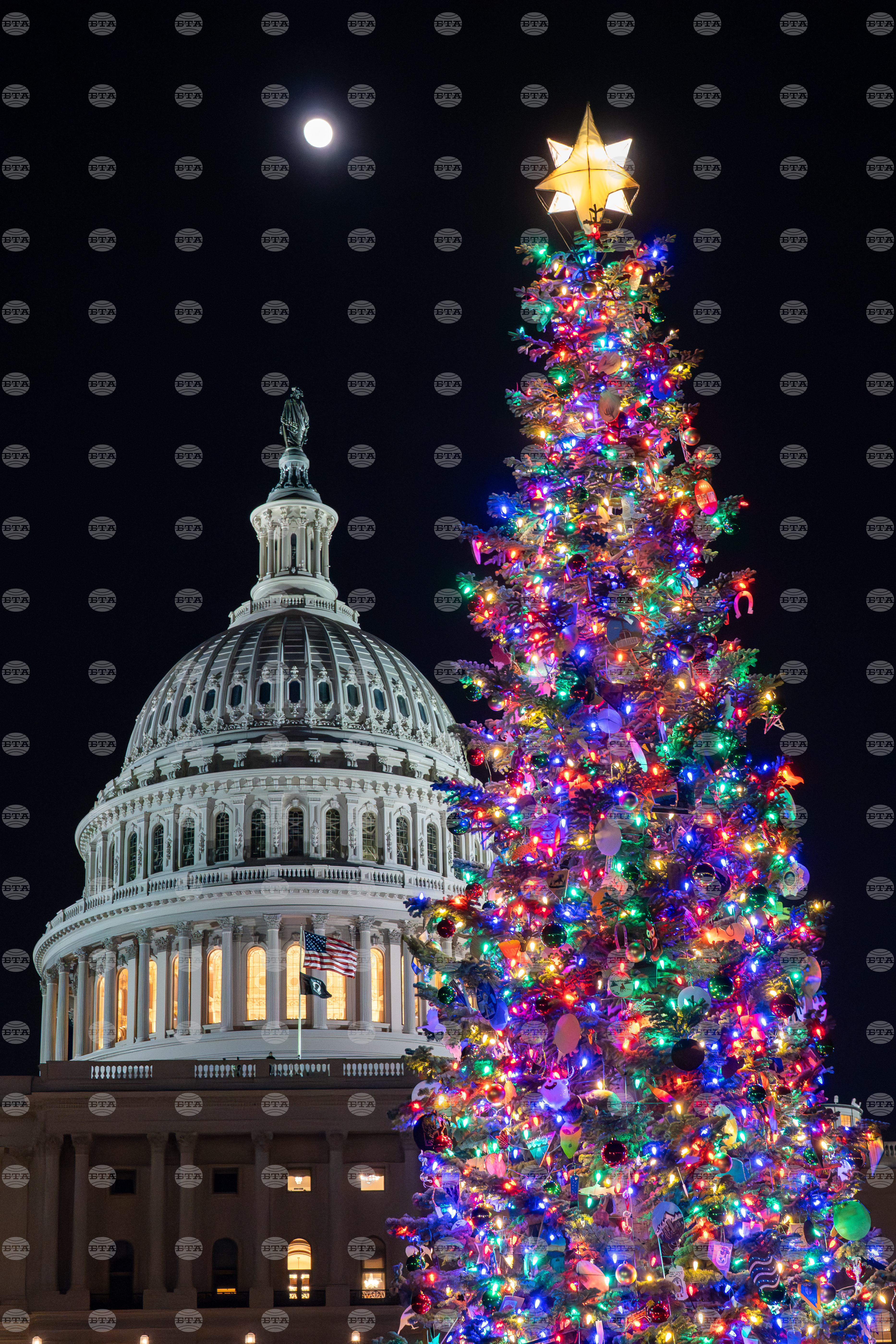 Capitol Christmas Tree