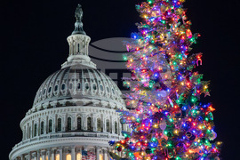 Capitol Christmas Tree