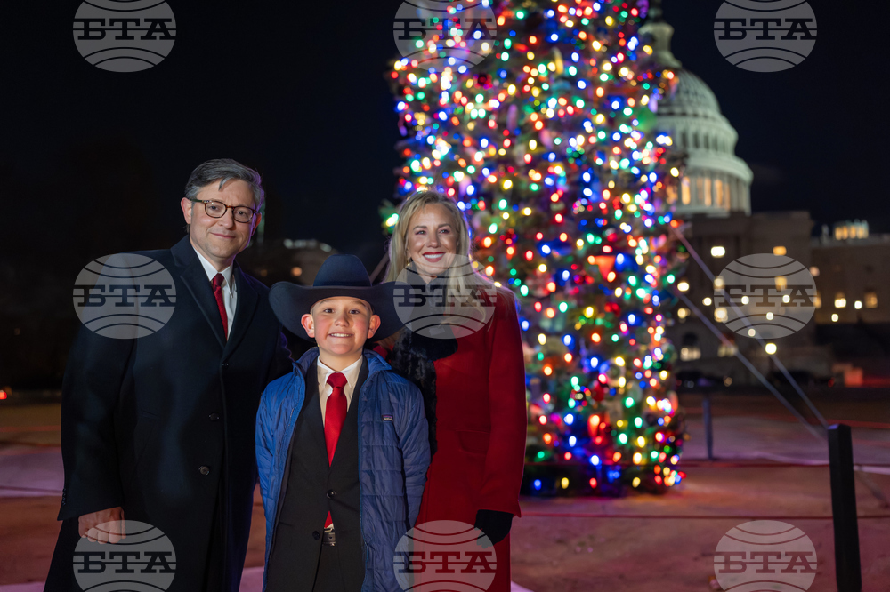 Capitol Christmas Tree