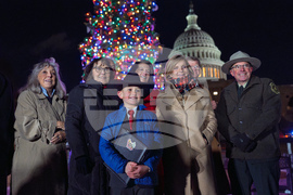 Capitol Christmas Tree