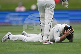 New Zealand West Indies Cricket