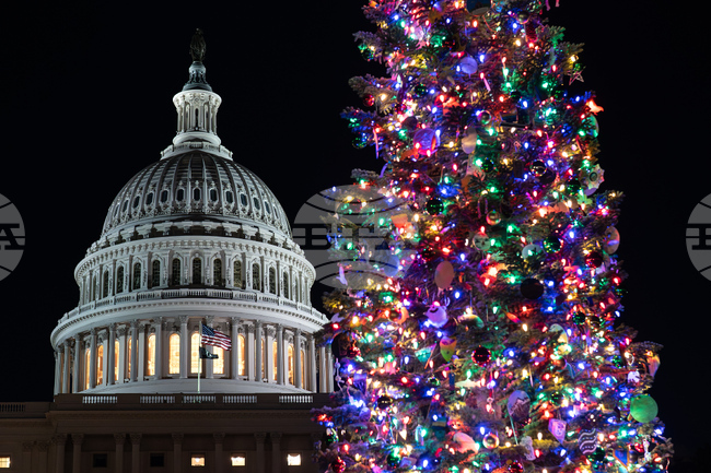 APTOPIX Capitol Christmas Tree