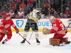 Bruins Red Wings Hockey