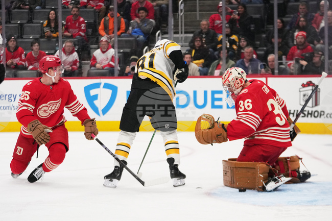 Bruins Red Wings Hockey