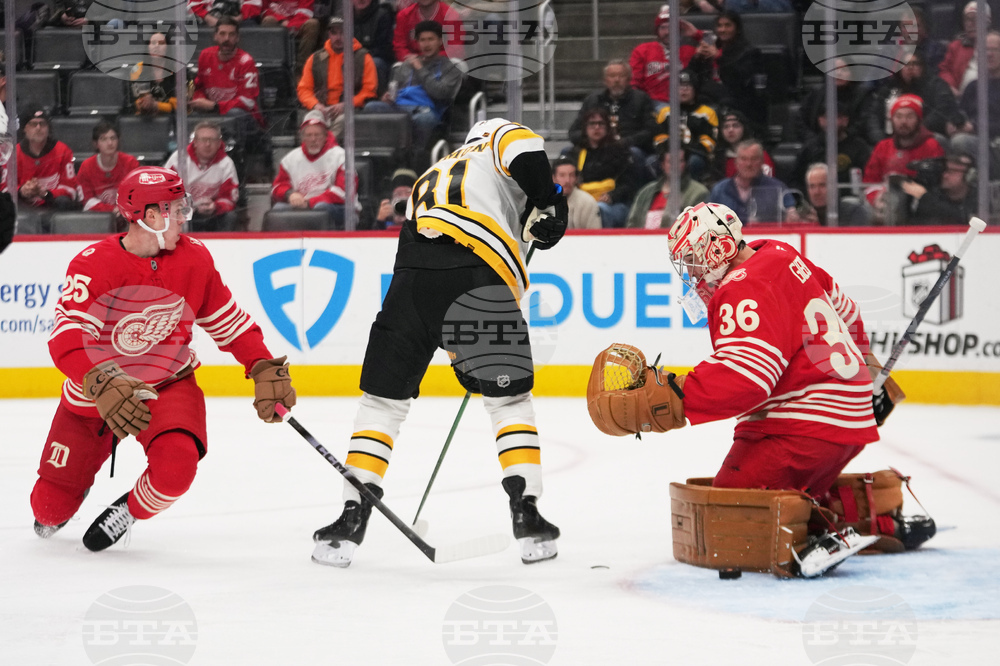 Bruins Red Wings Hockey