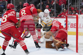 Bruins Red Wings Hockey