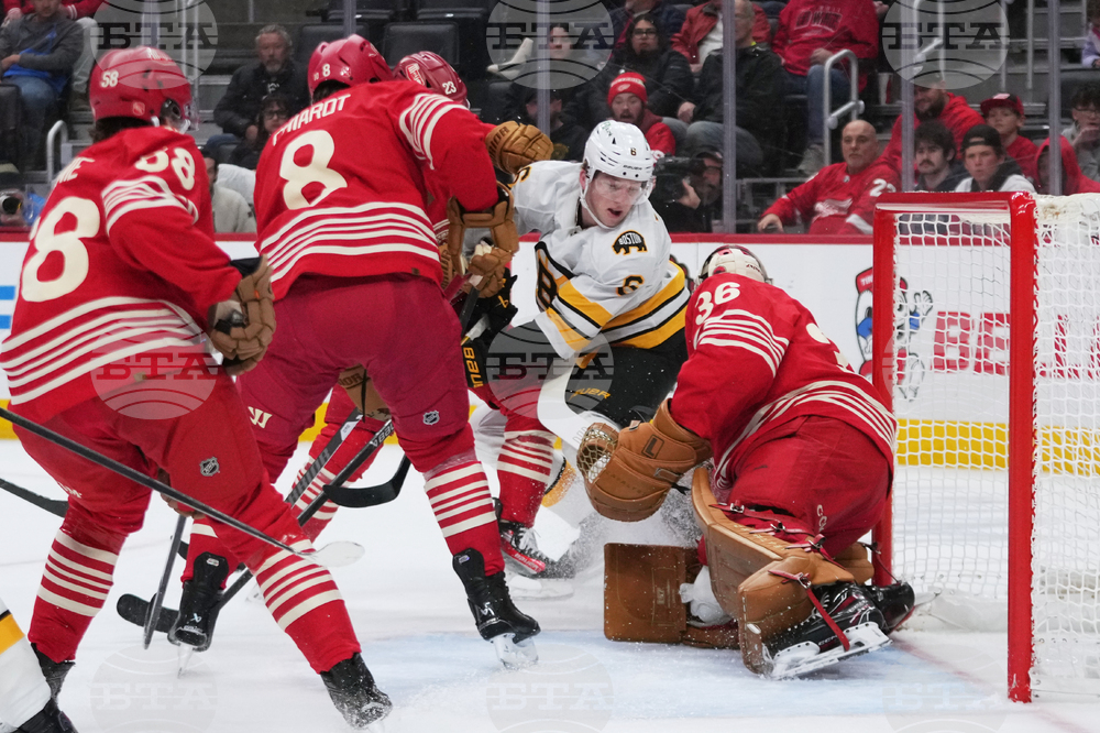 Bruins Red Wings Hockey