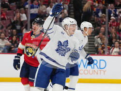 Maple Leafs Panthers Hockey