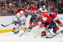 Maple Leafs Panthers Hockey