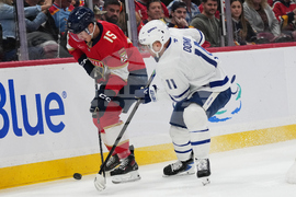 Maple Leafs Panthers Hockey