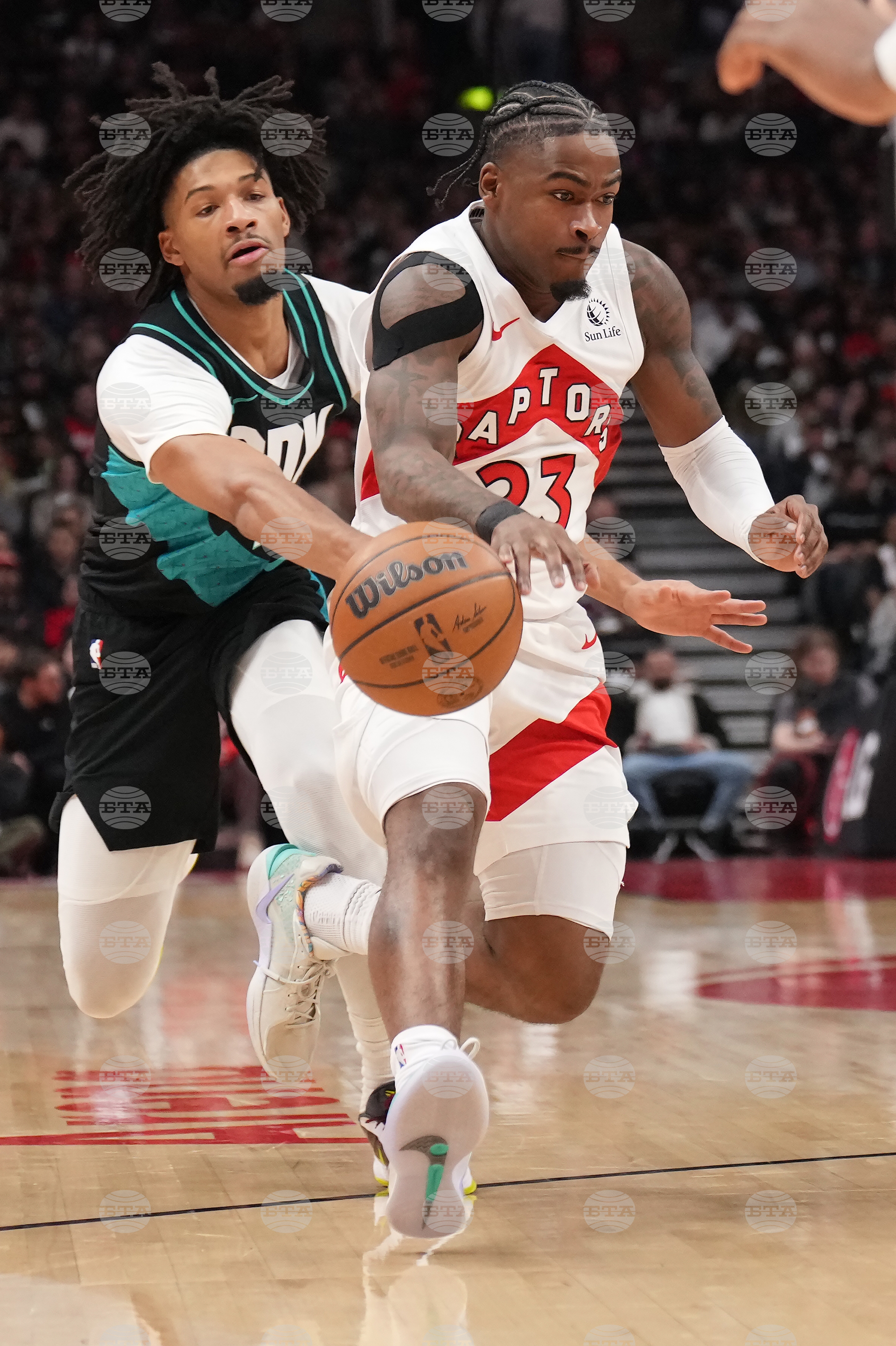 Trail Blazers Raptors Basketball