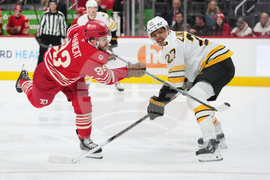 Bruins Red Wings Hockey