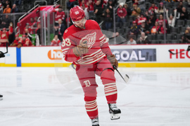 Bruins Red Wings Hockey