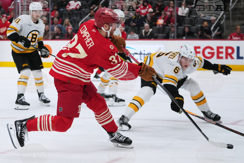 Bruins Red Wings Hockey