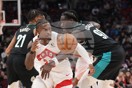 Trail Blazers Raptors Basketball