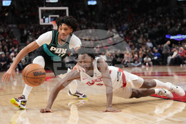 Trail Blazers Raptors Basketball