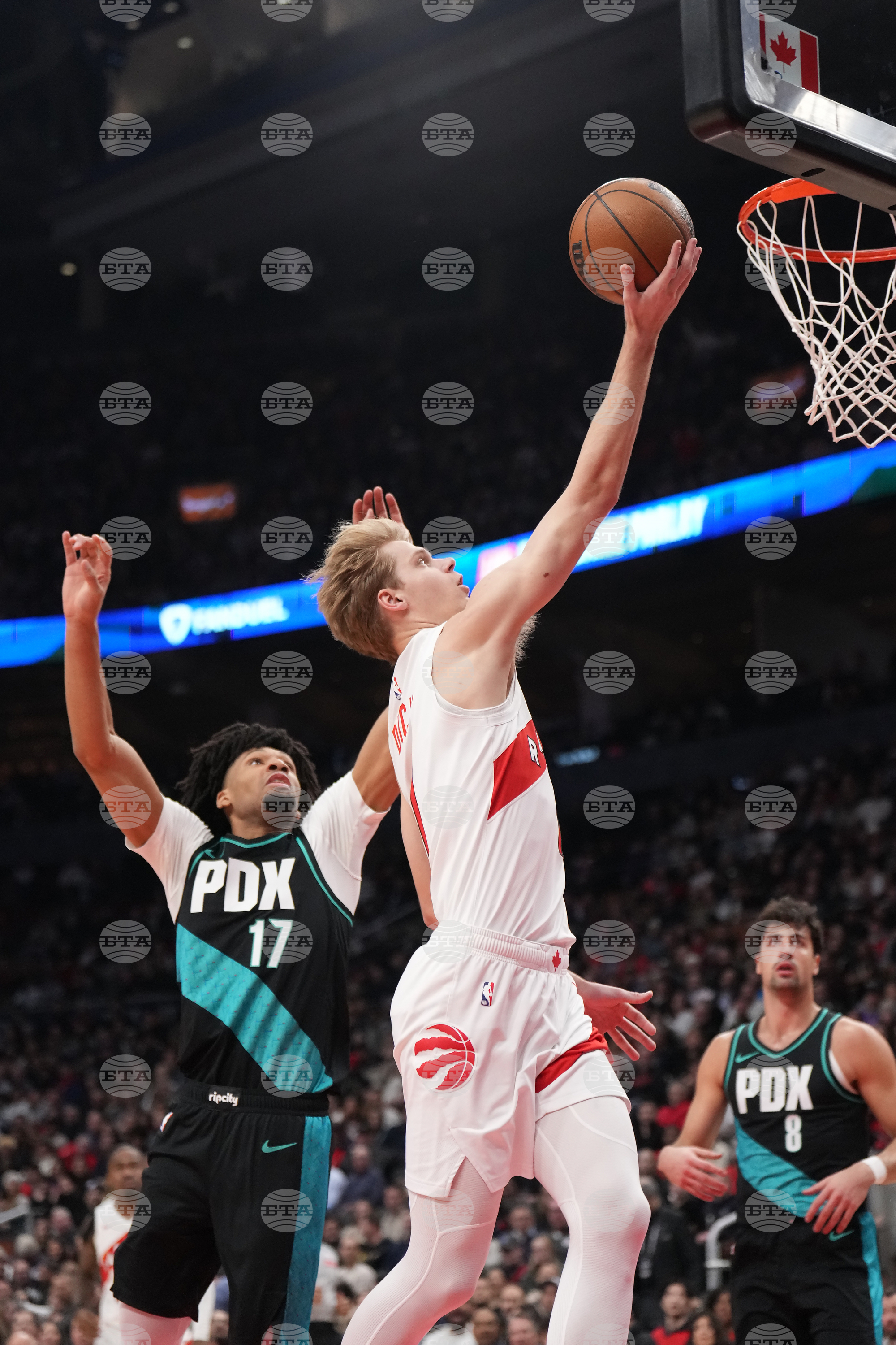 Trail Blazers Raptors Basketball