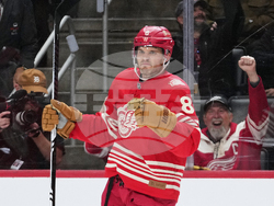 Bruins Red Wings Hockey