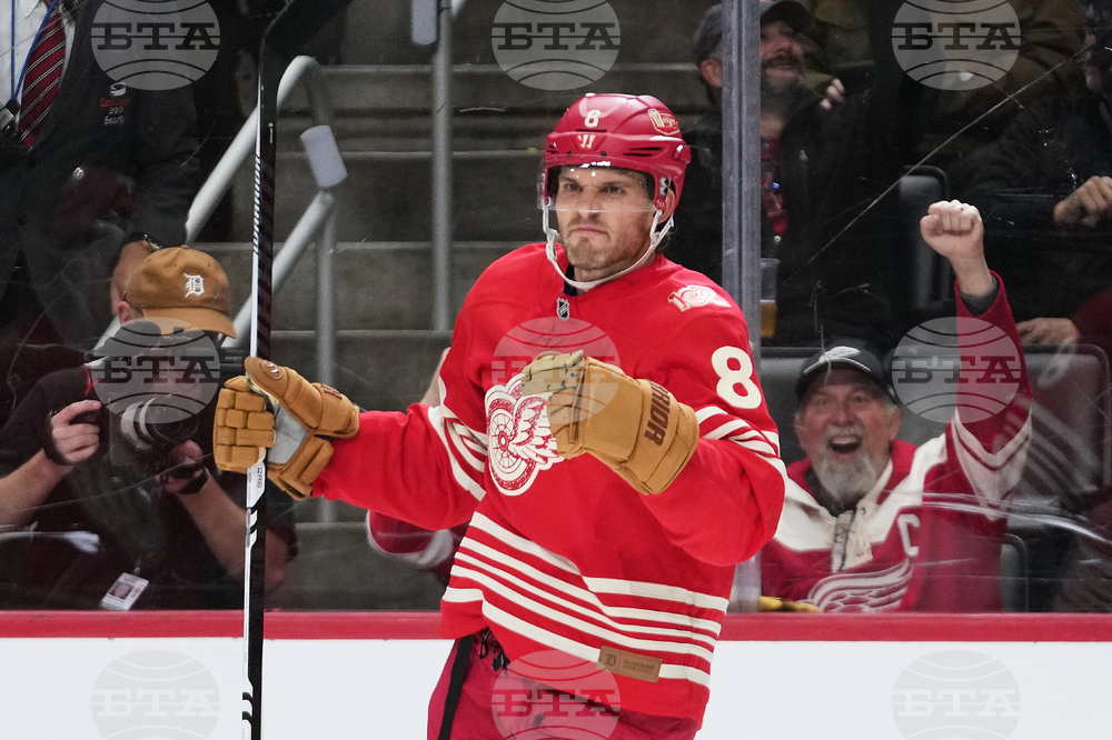 Bruins Red Wings Hockey