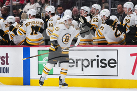 Bruins Red Wings Hockey