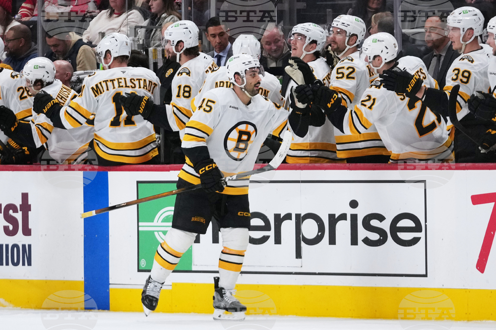 Bruins Red Wings Hockey