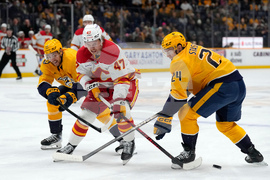 Flames Predators Hockey
