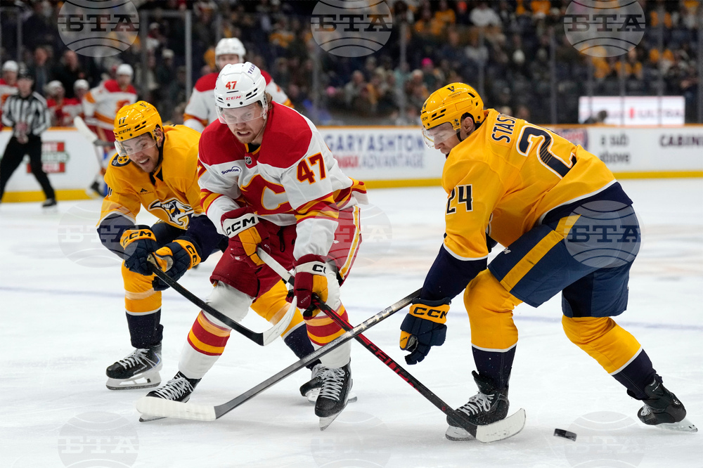 Flames Predators Hockey