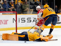 Flames Predators Hockey