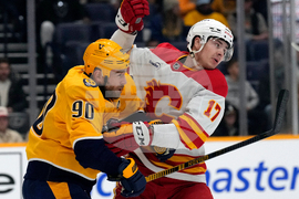 Flames Predators Hockey