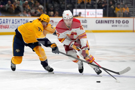 Flames Predators Hockey
