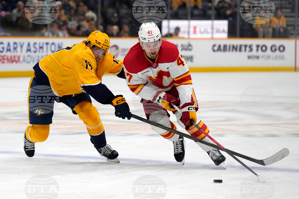 Flames Predators Hockey