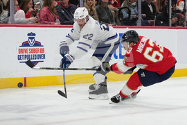 Maple Leafs Panthers Hockey