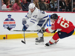 Maple Leafs Panthers Hockey