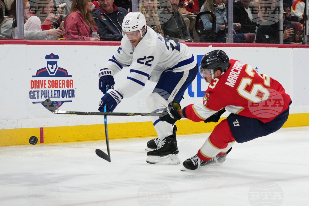 Maple Leafs Panthers Hockey