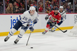 Maple Leafs Panthers Hockey